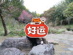 -飞凤山奥体公园