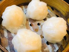 添运来虾饺皇-添运来(茶园奥园广场店)