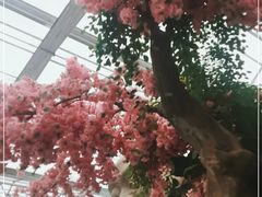 -滕头生态酒店(奉化店)