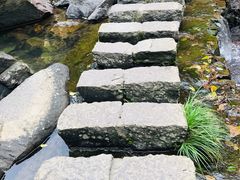 -溪口-滕头旅游景区