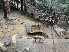 -杭州长乔极地海洋公园