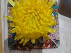 -石鼎香·非遗淮扬火锅(江都龙川桥店)