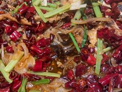 -老板恋上鱼(恒隆广场店)