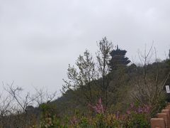 -杭州半山国家森林公园