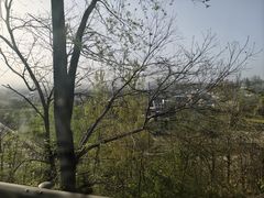 -王顺山国家森林公园