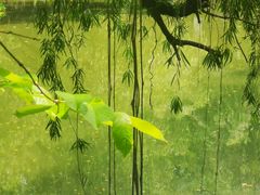 -人民公园(罗湖区)