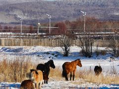 -北极村旅游风景区