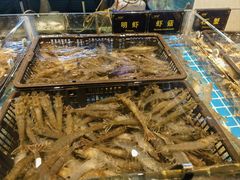 -九月海·海鲜自助(世纪东方店)