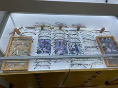 -广州宝岛眼镜武汉和光眼镜市场西区店