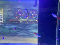 -酷嗒动物文化乐园(cutezoo西溪乐天城店)