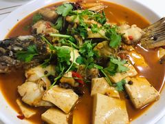 -煲来饱去冷水鱼