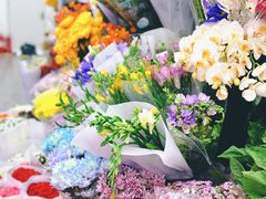 -花鸟鱼虫鲜花绿植市场(玉泉路店)