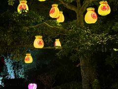 -印象普陀