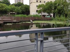 -苏州河梦清园环保主题公园