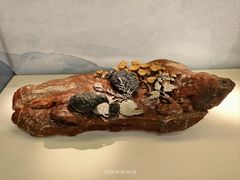 -杭州工艺美术博物馆
