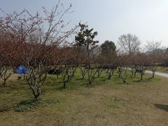 -石湖景区