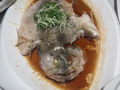 -煲煲好(朝阳门店)