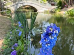 -人民公园(罗湖区)