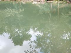 -新洲生态园