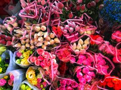 -桂林市花鸟市场