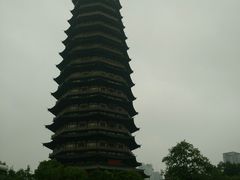 -西贝(金桥店)