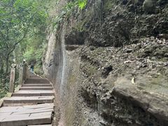 -青城山