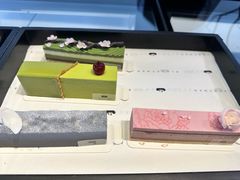 -BLACKSWAN黑天鹅(环球店)