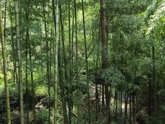 -藏龙百瀑风景区