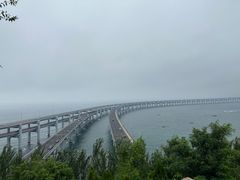 -星海湾跨海大桥