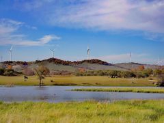 -塞罕坝国家级自然保护区