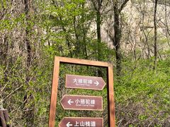-大岭沟猕猴桃谷风景区