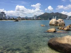 -珊瑚岛
