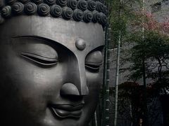 -杭州植物园