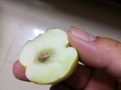 -鲜力达果品批发直销(青山店)