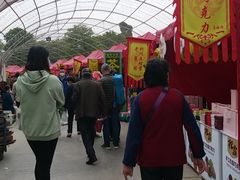 -秀丽东方