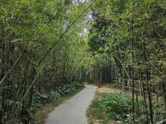 -开平碉楼文化旅游区马降龙景区