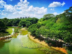 -东莞植物园