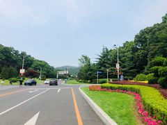 -棒棰岛宾馆景区