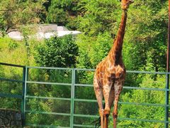 -沈阳森林动物园