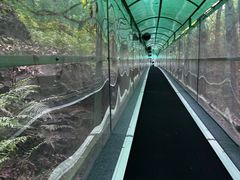 -灵栖洞天