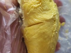 -都念榴莲·城市榴莲