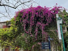 -赤坎·广东华侨国际旅游度假区