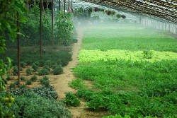 200911222014385-意大利农场度假村