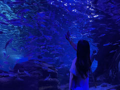 -江和美海洋公园