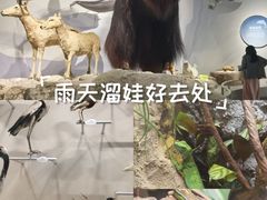 -中国湿地博物馆