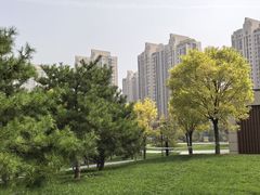 -吉林大学(前卫南区)