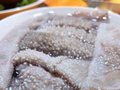 鲜毛肚-陈陈火锅(较场口店)