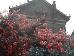 -牟氏庄园