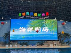 -泉城欧乐堡海洋极地世界