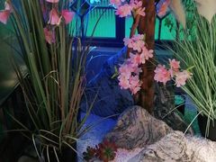 -野妹火锅(龙岗店)